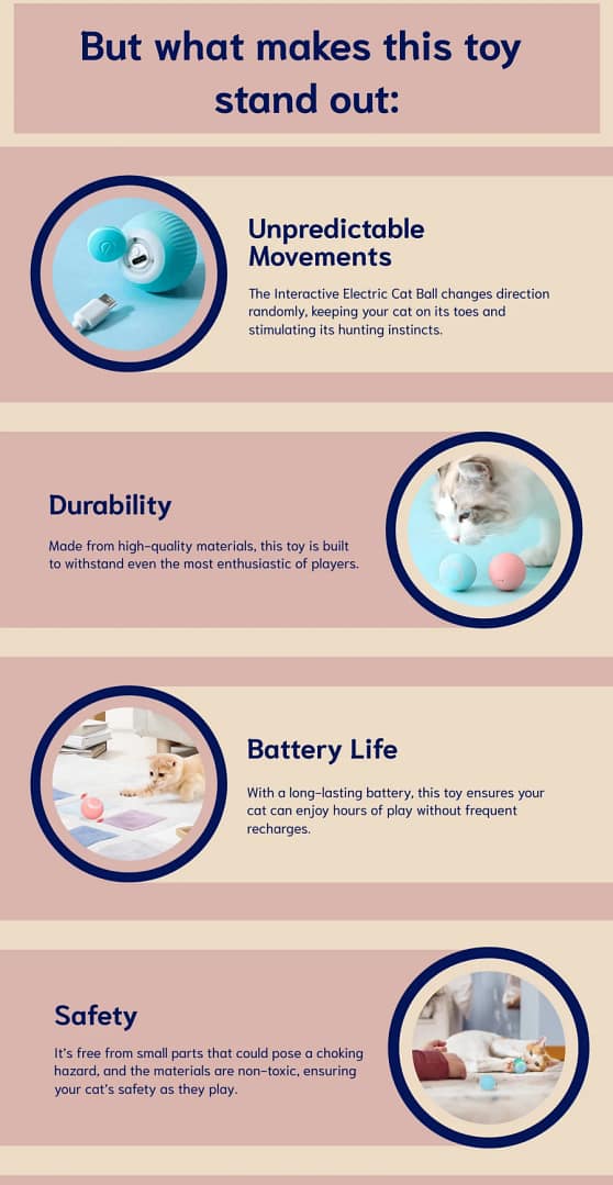 stimulating cat toy for indoor cats